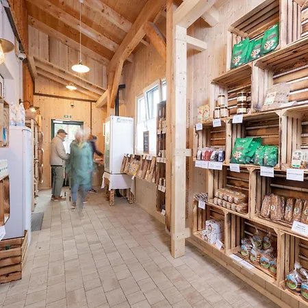 Exclusive With Sauna & Mountain Panorama Holiday home Grundlsee