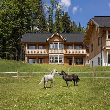 Near & Loser Lift Holiday home